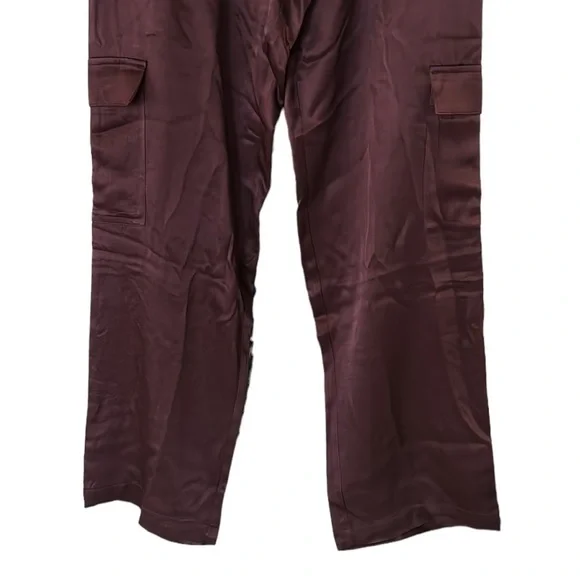 NWT Young Fabulous & Broke Findlay Satin Cargo Carpenter Pants in Raisin - M - Picture 7 of 16